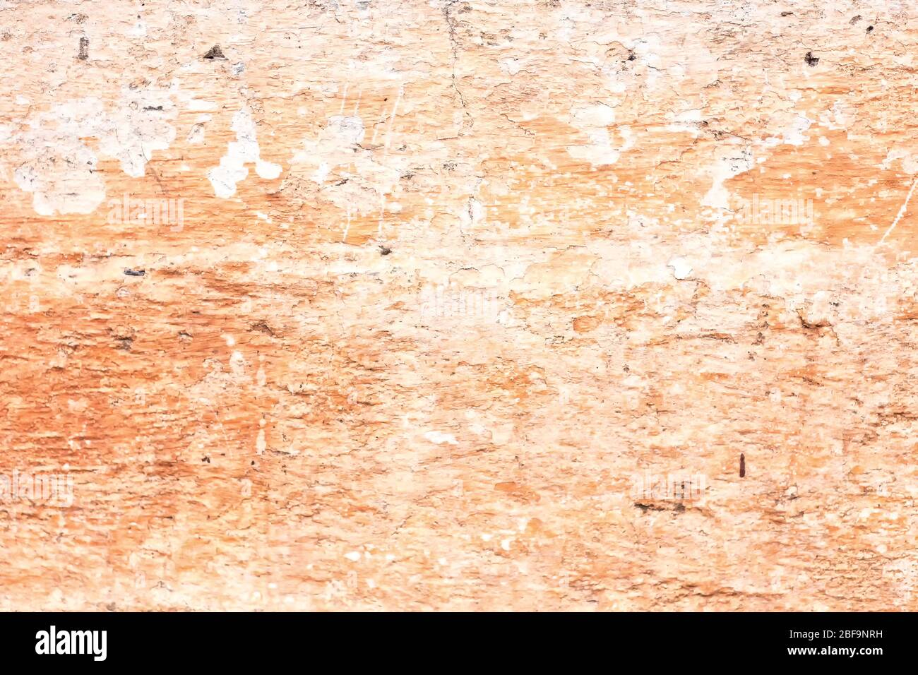 Animazione astratta pesca sfondo senza cuciture loop parete Foto Stock