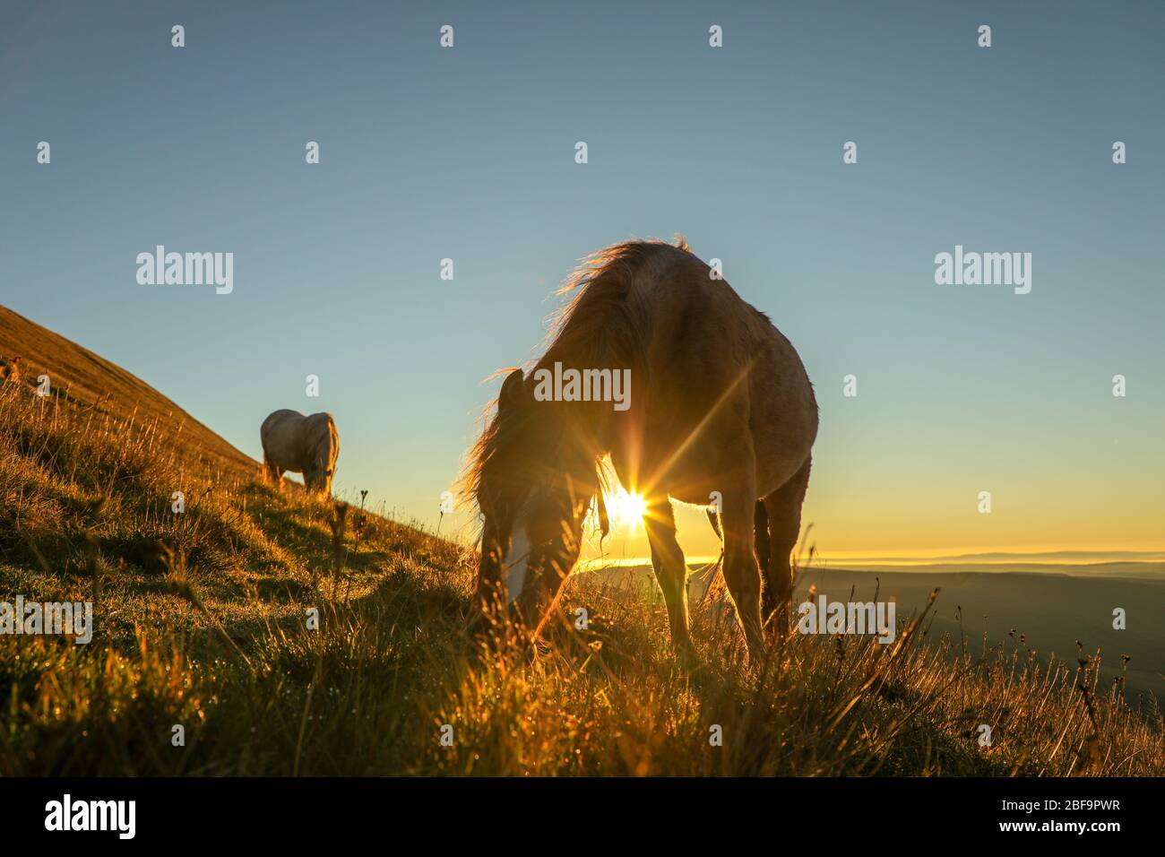 Bannau Brycheiniog, Brecon Beacons National Park, Galles, Regno Unito. Foto Stock