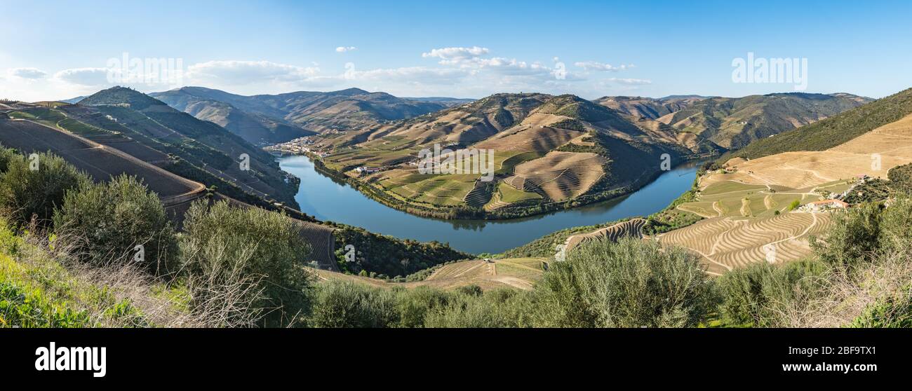 Vista sui vigneti terrazzati nella valle del Douro e sul fiume vicino al villaggio di Pinhao, Portogallo. Concetto per viaggiare in Portogallo e più bella p Foto Stock