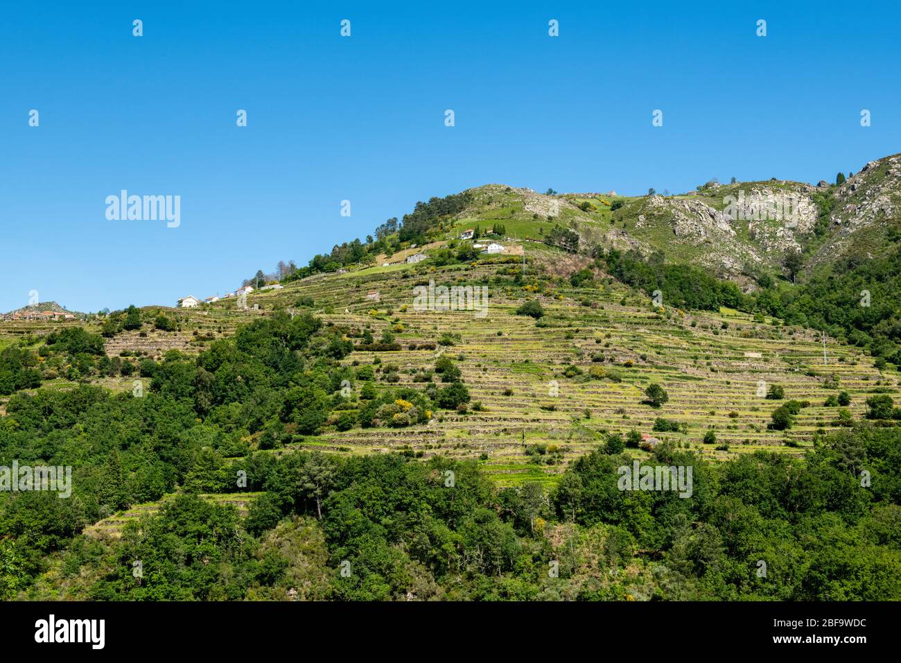 Punto di vista delle terrazze (Miradouro dos Socalcos), che si affacciano sulle terrazze agricole (famosa vista del paesaggio in stile tibetano), porta Cova Place, Sist Foto Stock