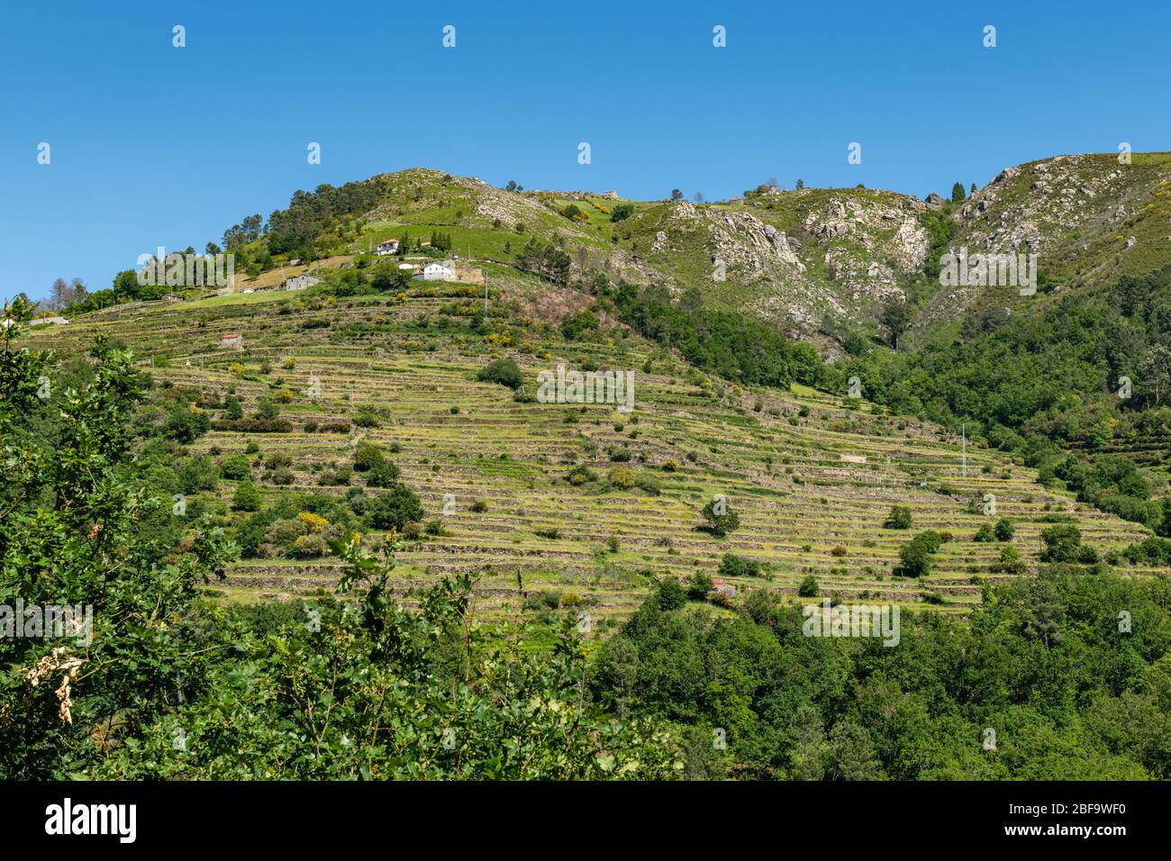 Punto di vista delle terrazze (Miradouro dos Socalcos), che si affacciano sulle terrazze agricole (famosa vista del paesaggio in stile tibetano), porta Cova Place, Sist Foto Stock