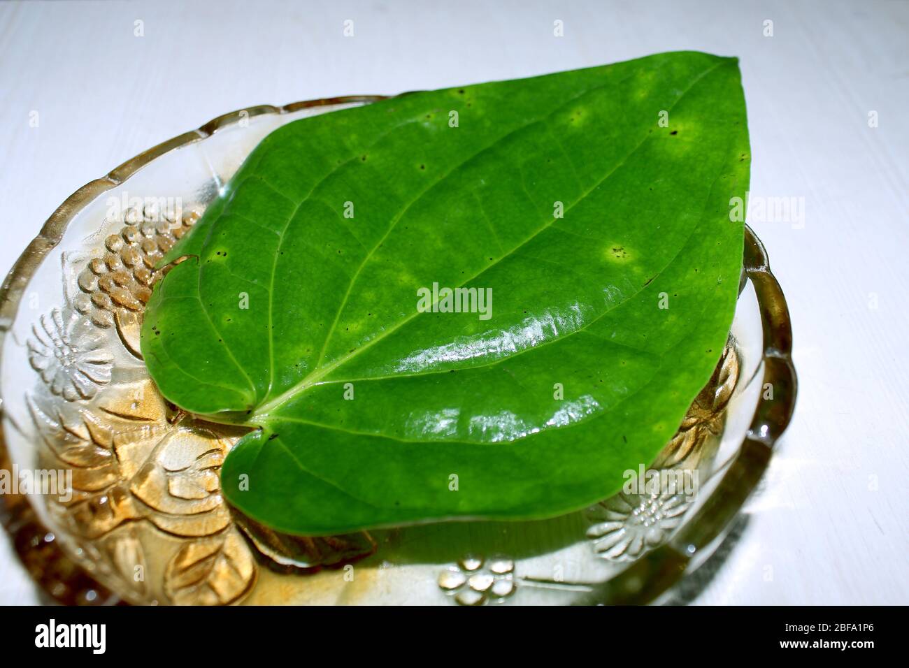 Deodorante indiano Dolce Paan, betel foglia fresca servita in una ciotola di vetro per uno stile di vita sano Foto Stock