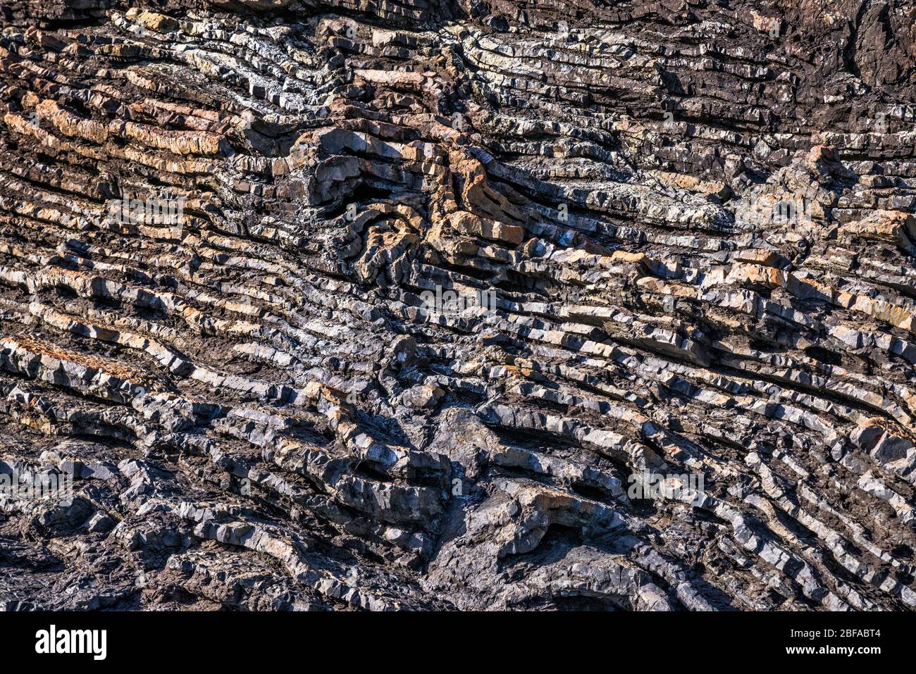 Rocce vulcaniche sulla spiaggia a Poley Bay, Penisola di Coromandel, Regione di Waikato, Isola del Nord, Nuova Zelanda Foto Stock