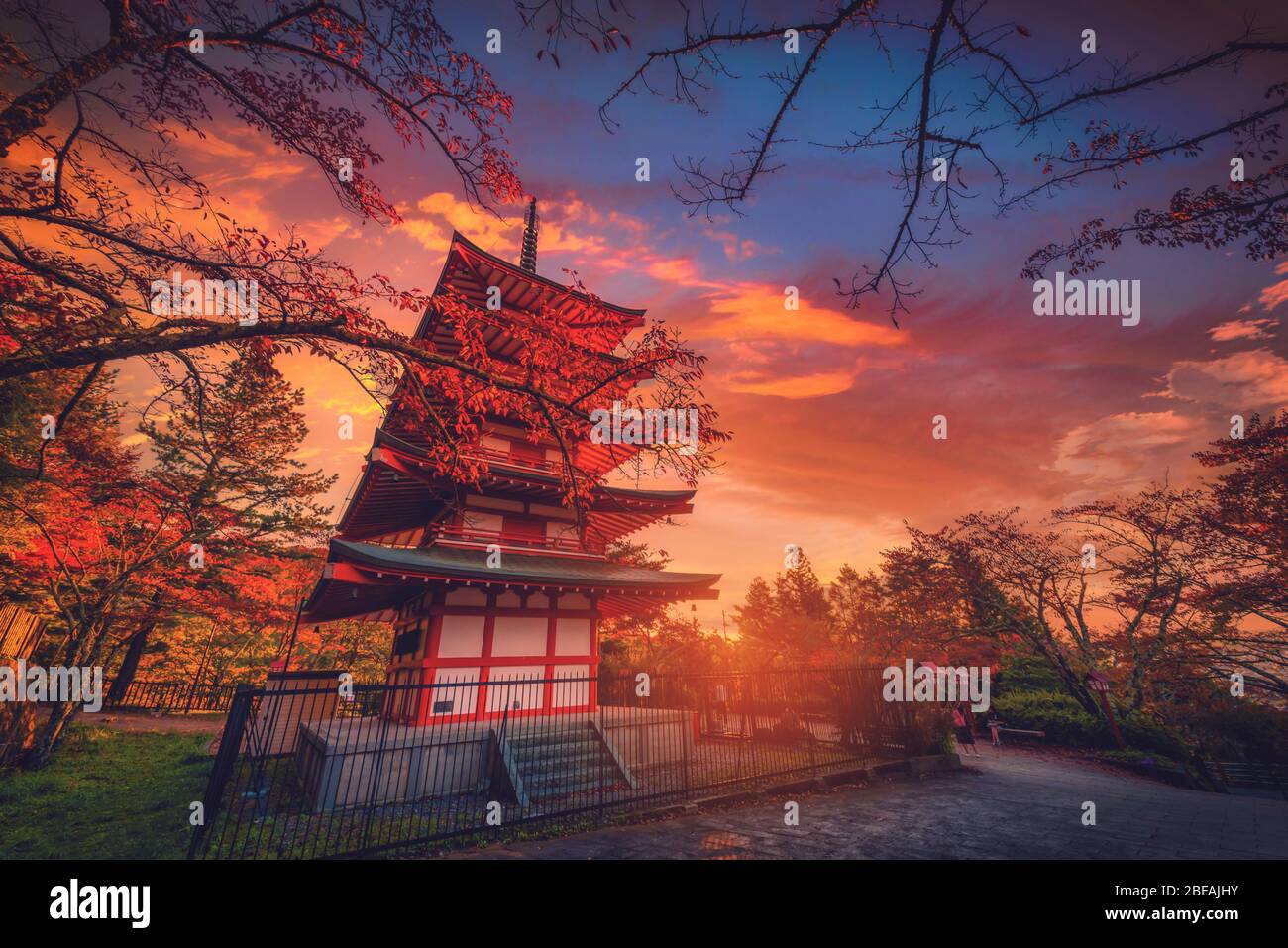 Pagoda Chureito e foglie rosse in autunno sul tramonto a Fujiyoshida, Giappone. Foto Stock