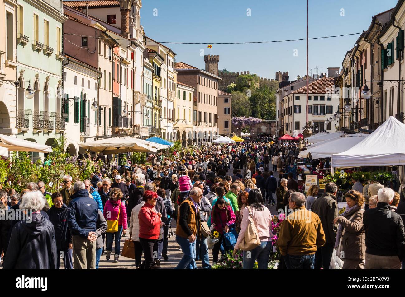 Blumenfest a Este, Provinz Padova, Veneto, Italien, Europa Foto Stock