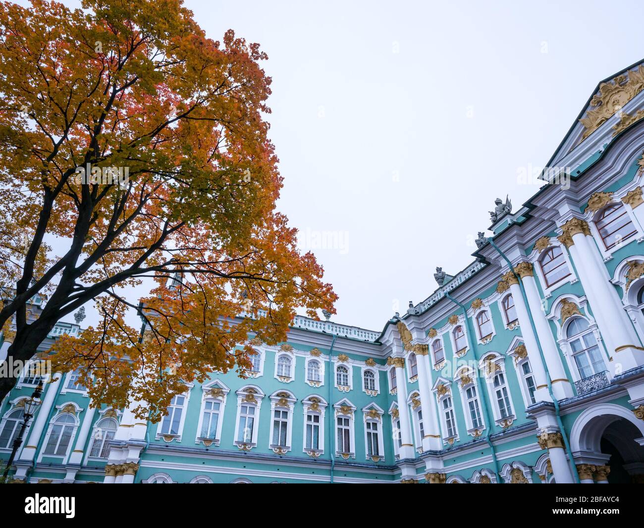 Cortile all'Hermitage state Museum, Palazzo d'Inverno con albero d'autunno, San Pietroburgo, Palazzo d'Inverno, Federazione Russa Foto Stock
