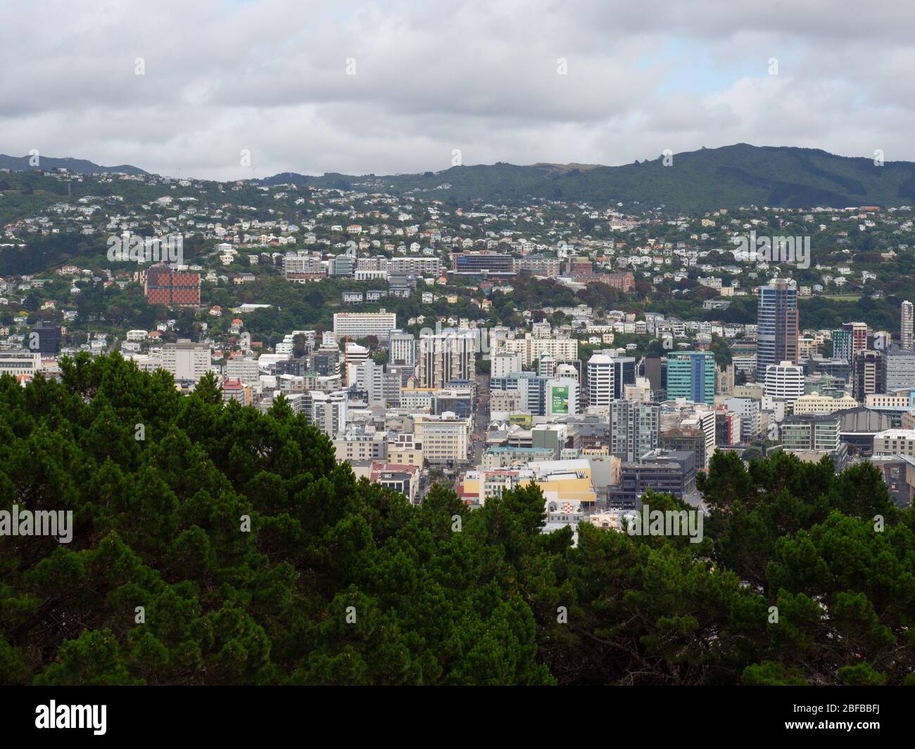 Wellington City dal punto panoramico del Monte Victoria Foto Stock