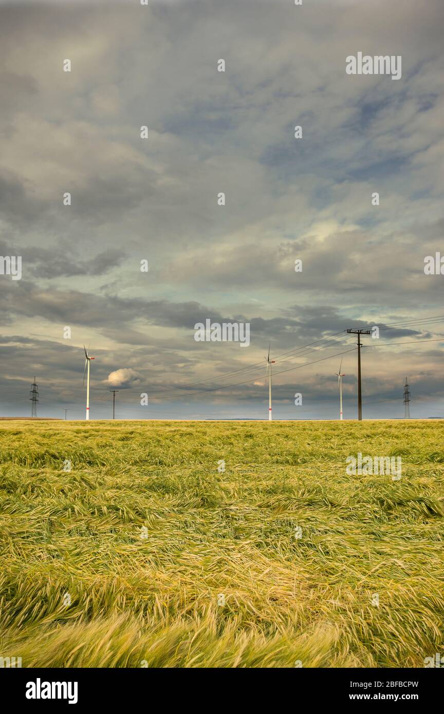 Cielo di nuvola spettacolare sopra il campo di mais con nuvole di pioggia scure, linee elettriche e turbine eoliche Foto Stock