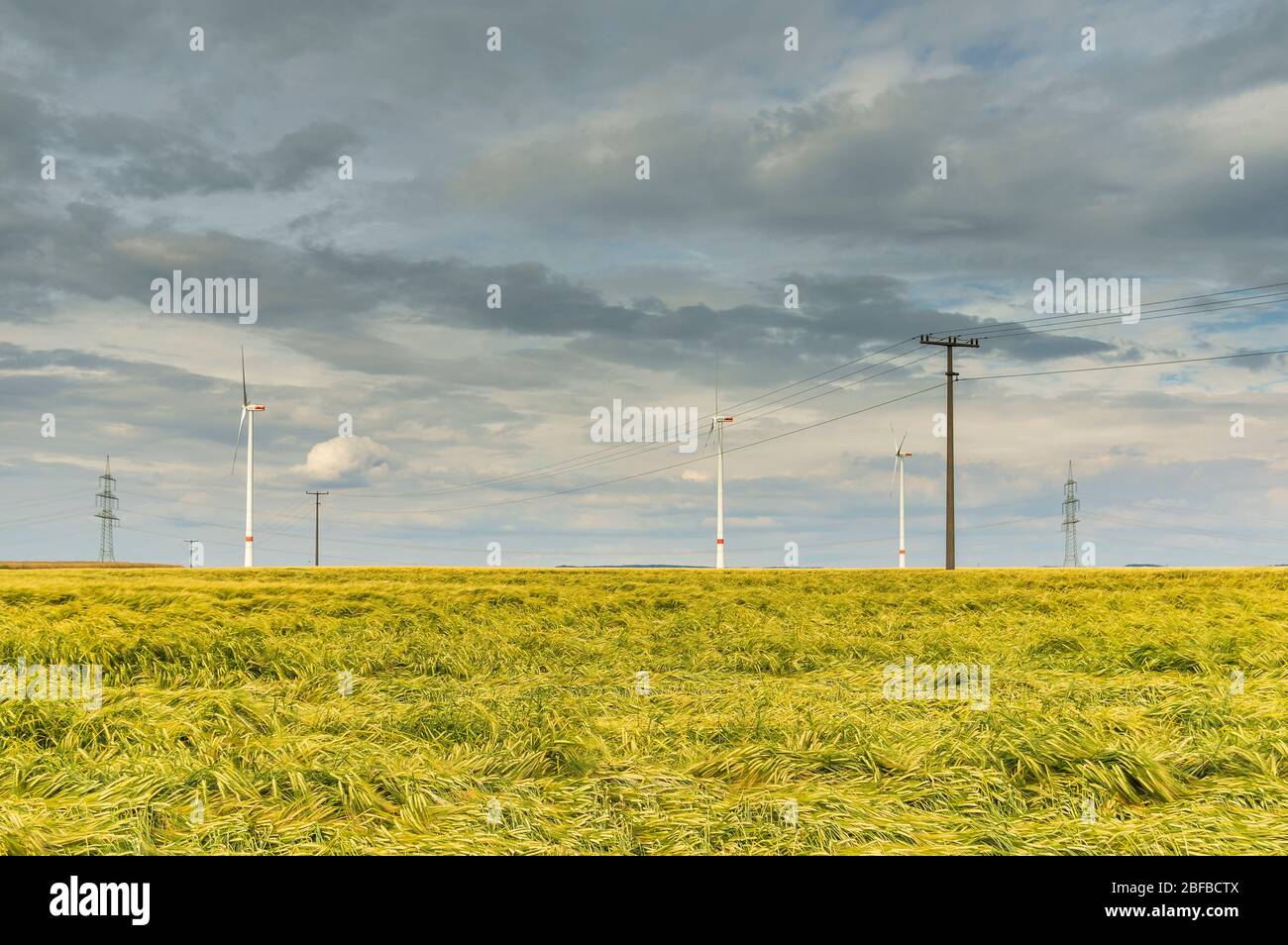 Cielo di nuvola spettacolare sopra il campo di mais con nuvole di pioggia scure, linee elettriche e turbine eoliche Foto Stock