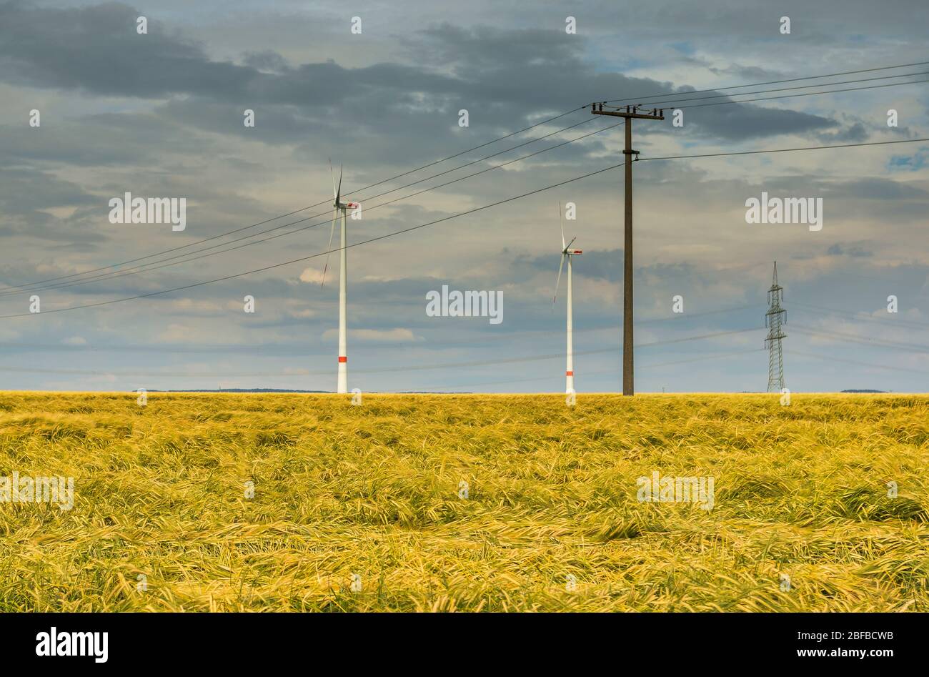 Cielo di nuvola spettacolare sopra il campo di mais con nuvole di pioggia scure, linee elettriche e turbine eoliche Foto Stock