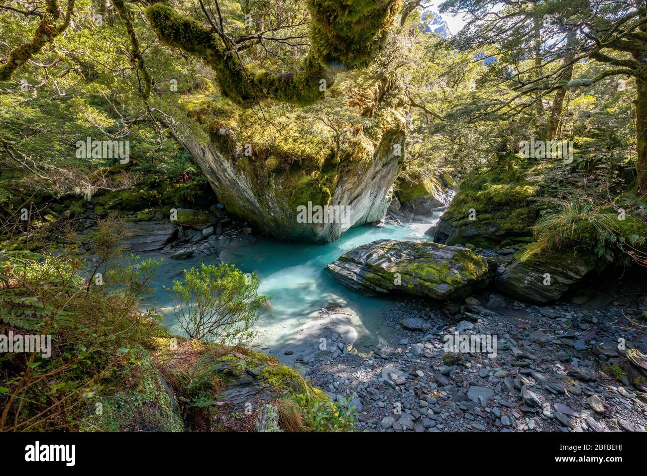 Rob Roy Stream, acqua turchese che scorre tra le rocce attraverso la foresta naturale, il Parco Nazionale del Monte aspirante, Otago, Isola del Sud, Nuova Zelanda Foto Stock