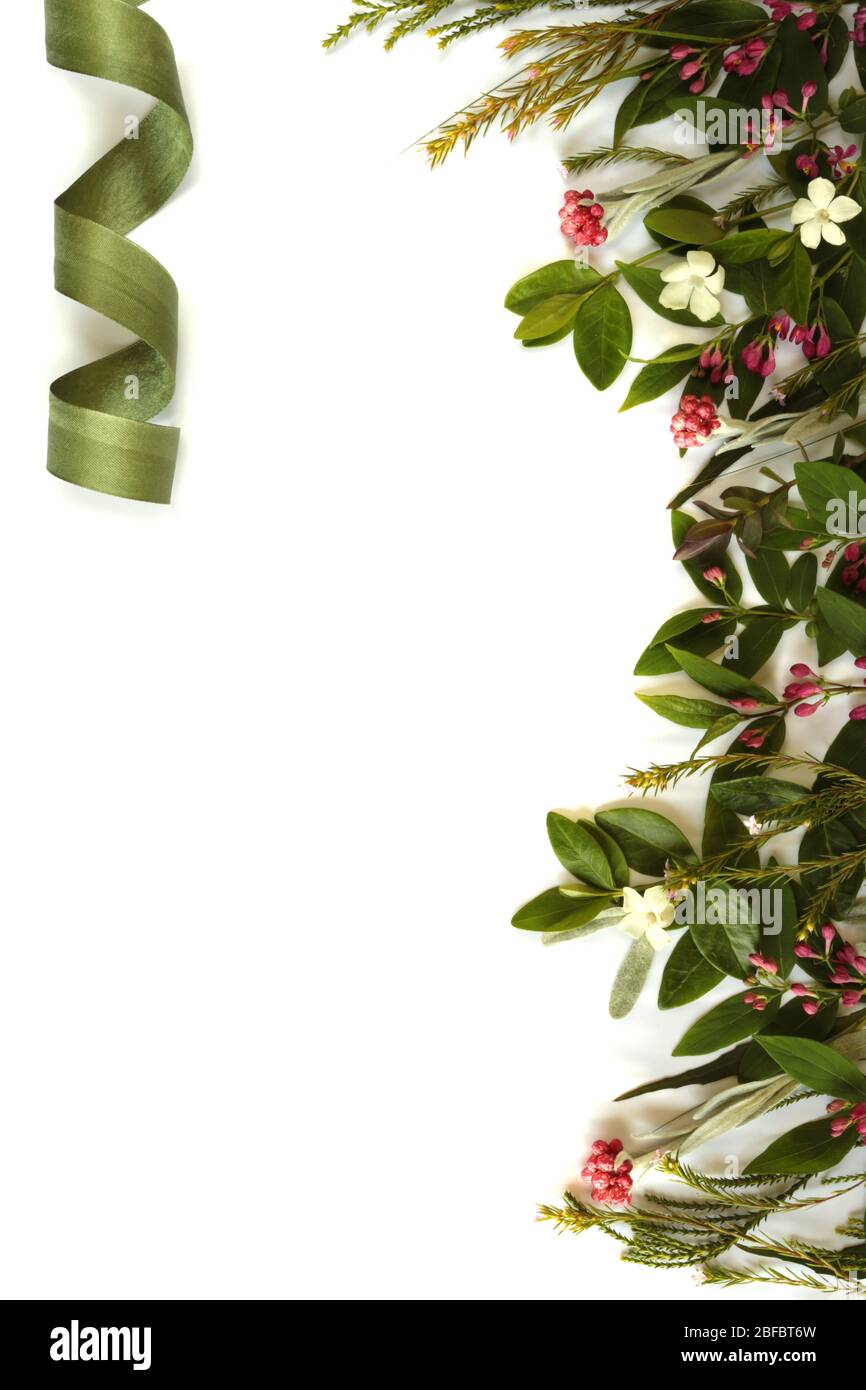 Carta festiva per buon compleanno con fiori freschi. Fiori di piante bordo. Disposizione piatta, vista dall'alto. Concetto di celebrazione, carta, banner Foto Stock