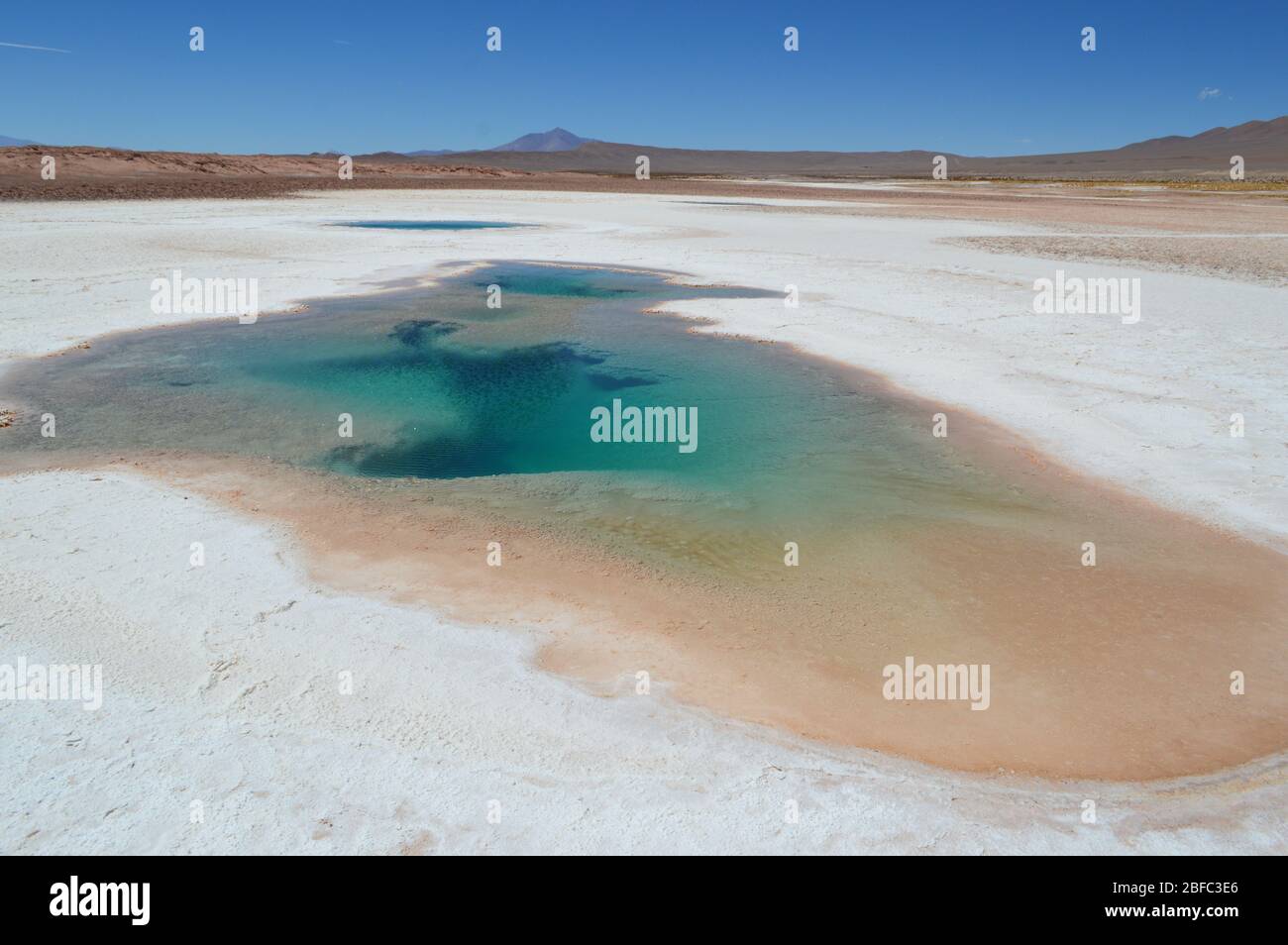Bellissime lagune turchesi nelle vicine saline Tolar Grande. Salta, Argentina Foto Stock