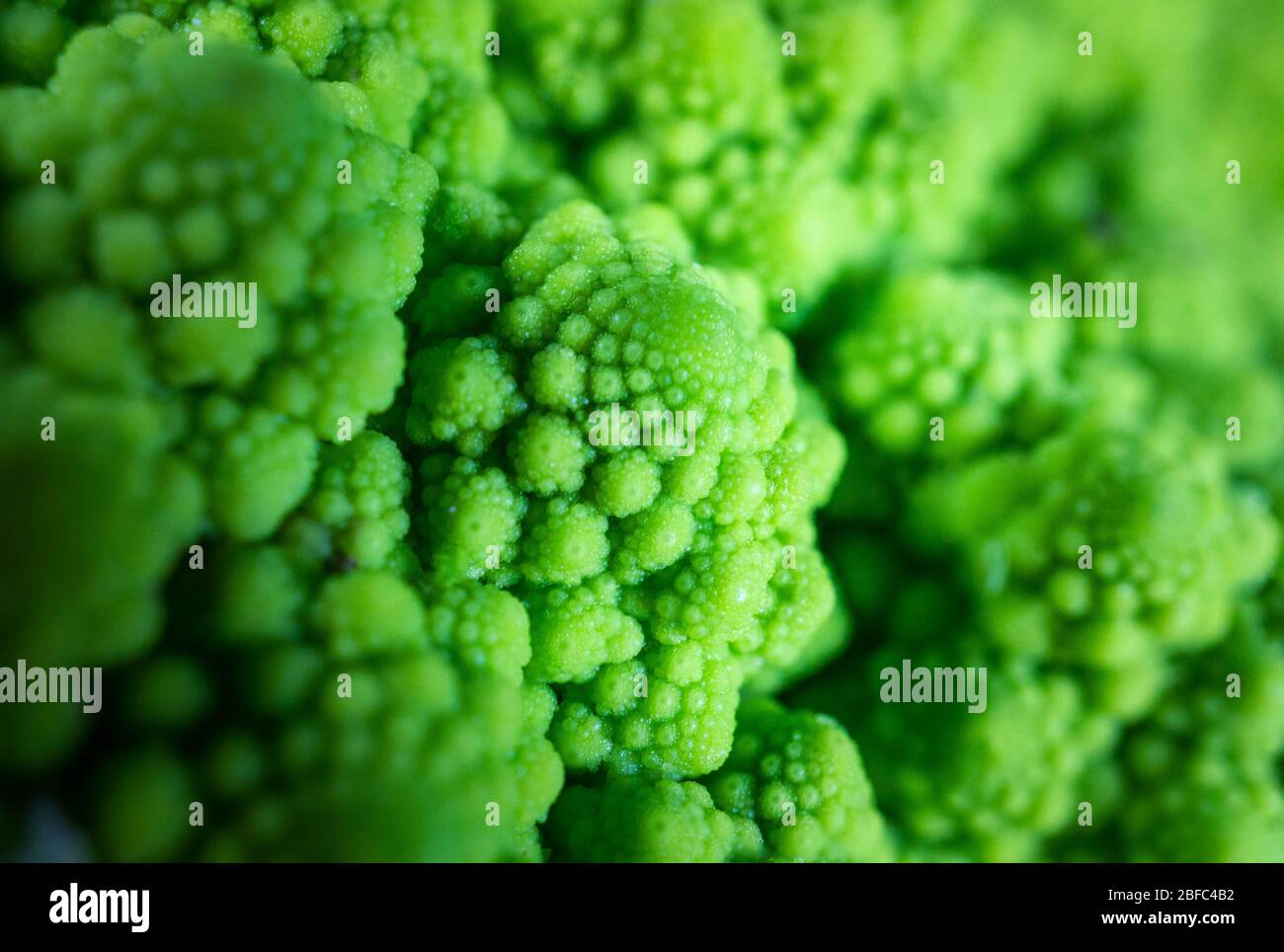 romanesco broccoli è un disegno frattale nature Foto Stock