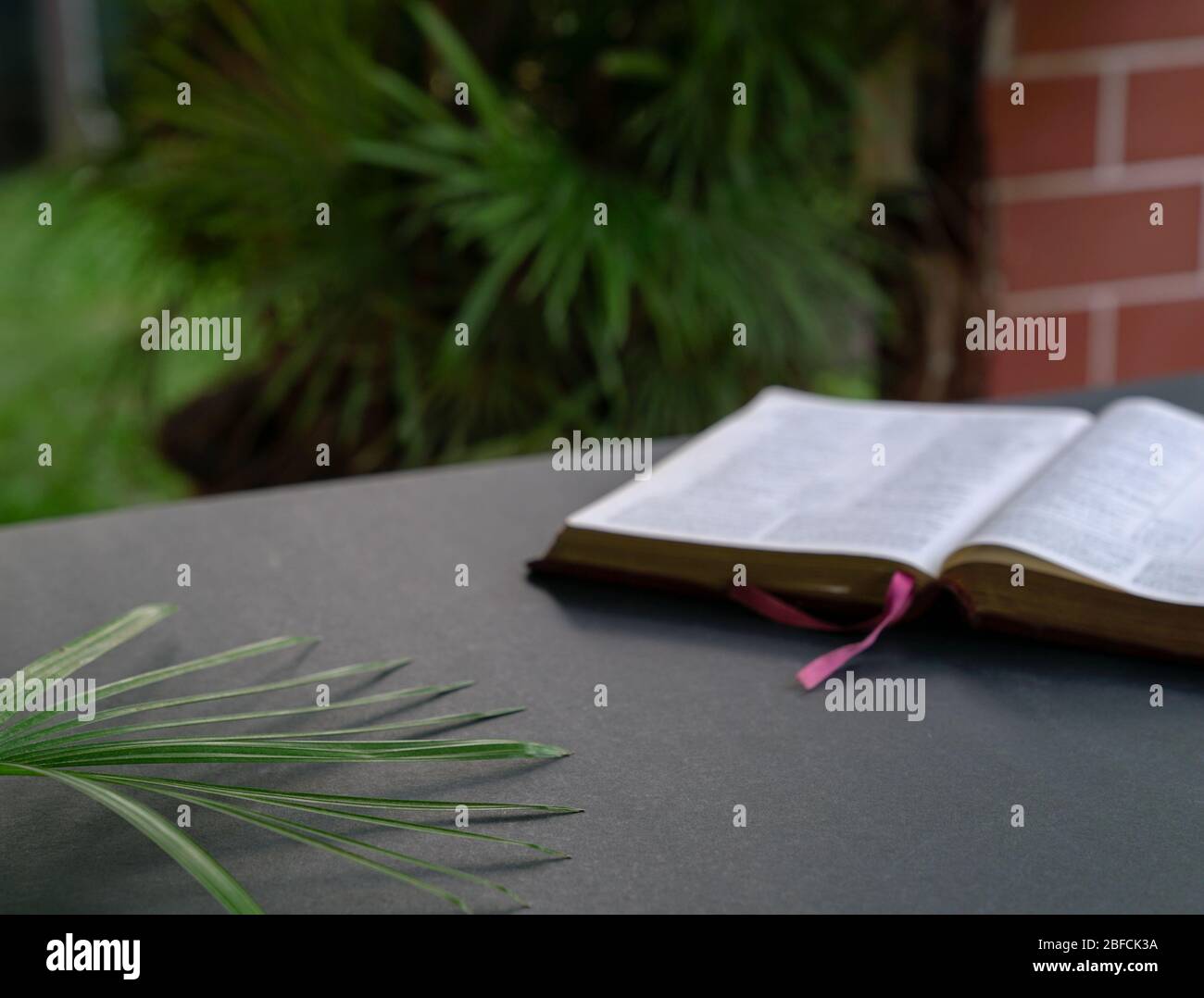 Apri la bibbia su una tavola nera. Foglie di palma. Messa a fuoco morbida, sfocatura del testo. Spazio per il testo. Foto Stock