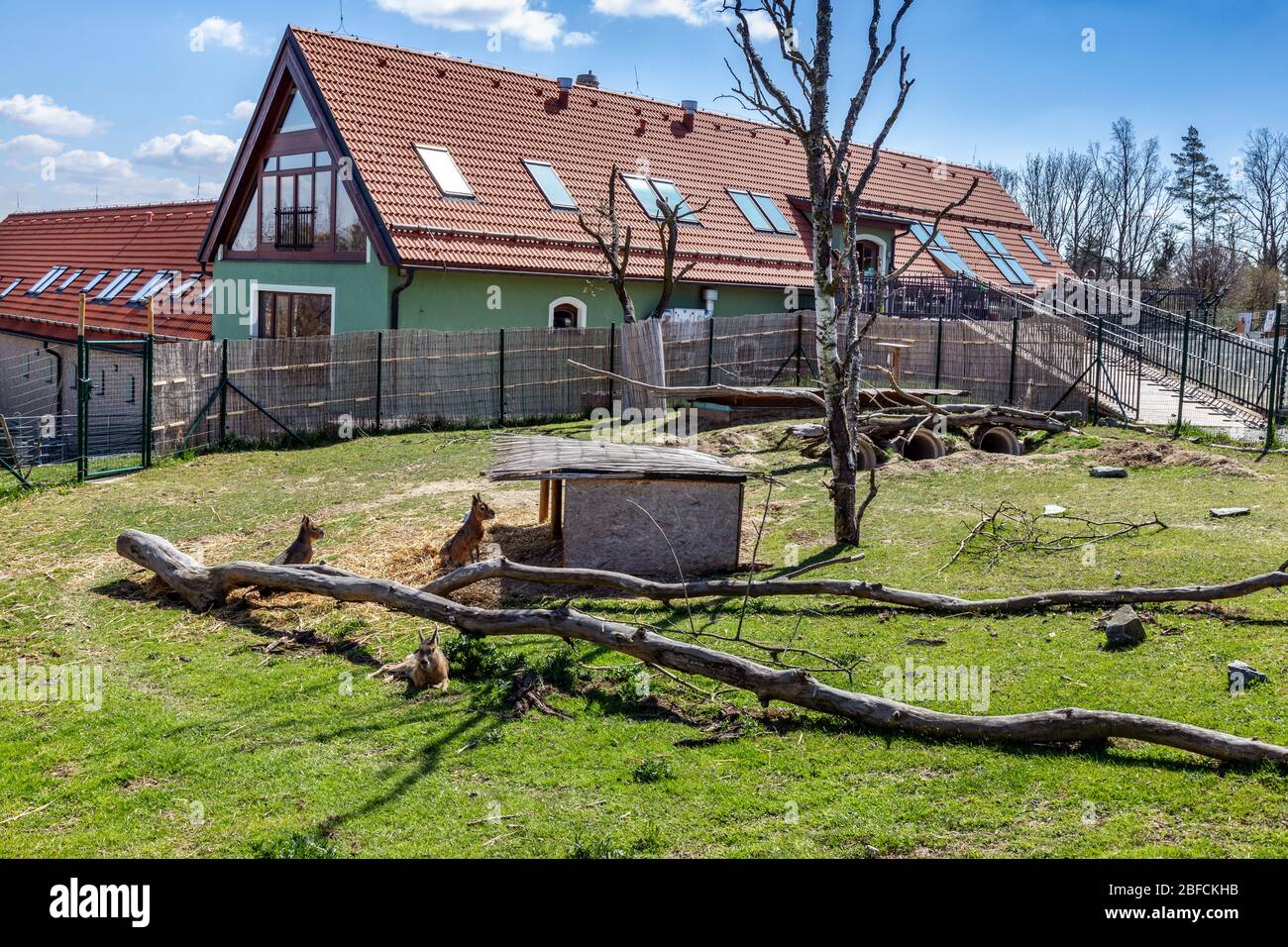 ZOO, Tábor, Jižní Čechy, Česká republika / giardino zoologico, città Tabor, regione Boemia del Sud, repubblica Ceca Foto Stock