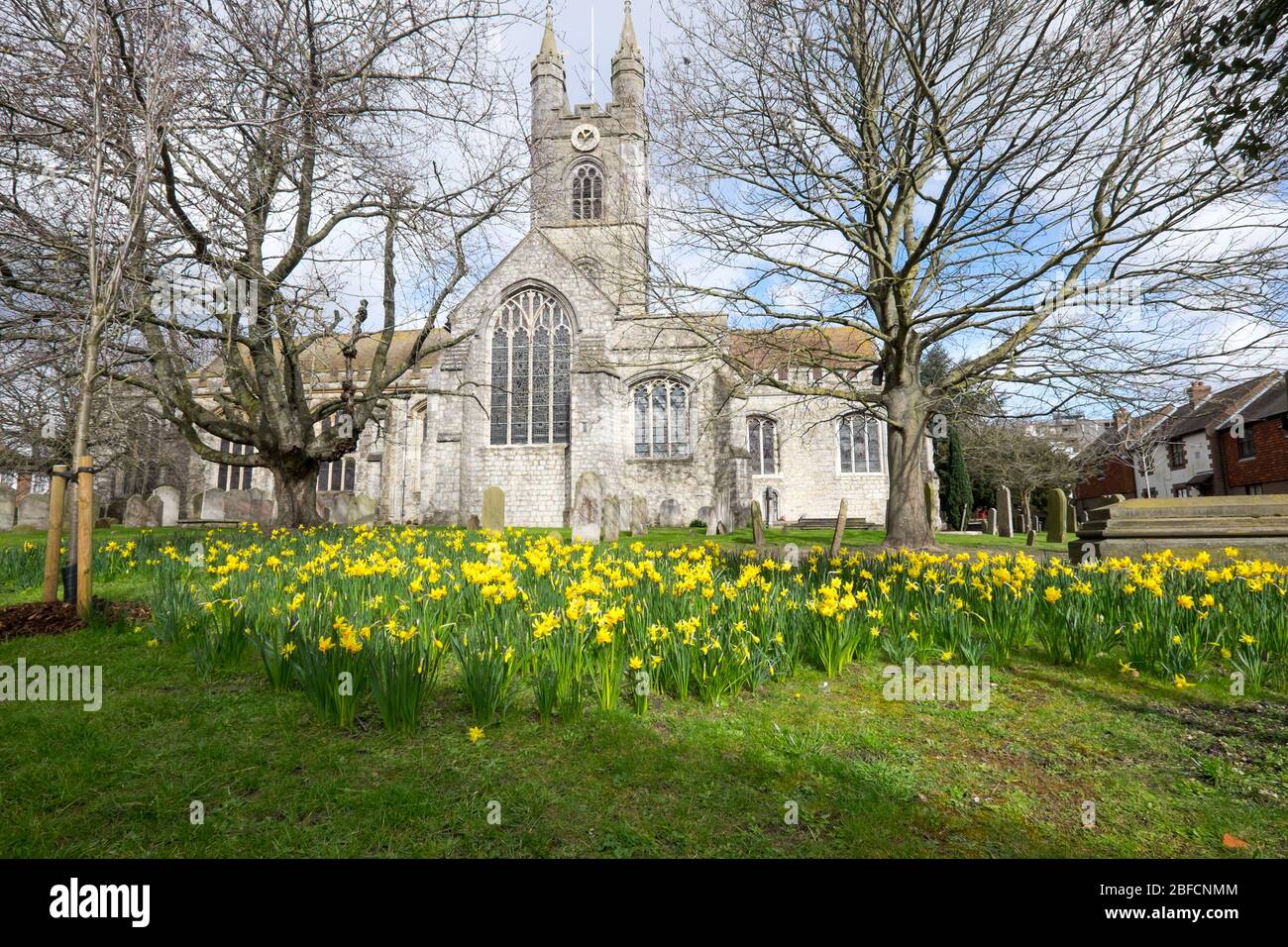 Ashford, Kent, Regno Unito - 9 marzo 2020: St Mary la chiesa della Vergine nel centro della città in primavera con i narcisi in cimitero Foto Stock