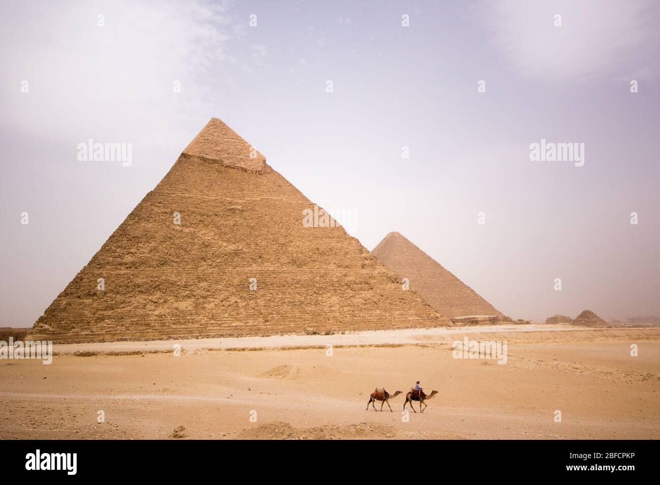 Un cavaliere di cammello nel deserto passa davanti alla Piramide di Khafre al complesso della Piramide di Giza vicino al Cairo, Egitto. Foto Stock