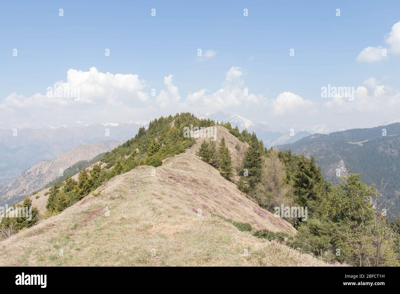 La vista dal paesaggio di montagna. Erba secca su pendii con alberi, cime bianche di montagna e nuvole sullo sfondo. Foto Stock