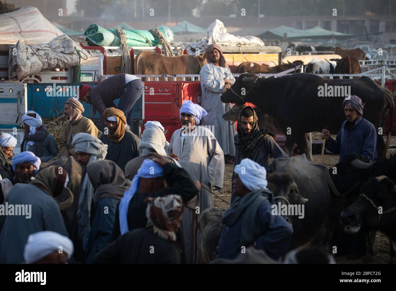 Una famosa tenda da caffè al mercato degli animali di Daraw vicino ad Aswan, Egitto. Foto Stock