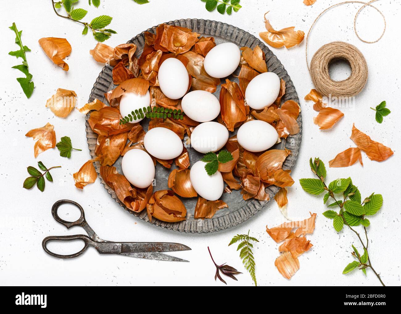 Vista dall'alto della preparazione delle uova di Pasqua per la tintura con bucce di cipolla e disegno di foglie fresche. Colorazione ecologica naturale con colorazione alimentare. Foto Stock