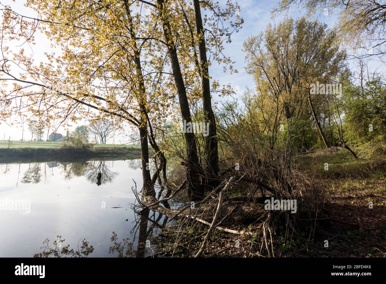 Fattoria isolata sul basso Reno nella natura incontaminata sulle rive del vecchio e originale fiume Reno Foto Stock