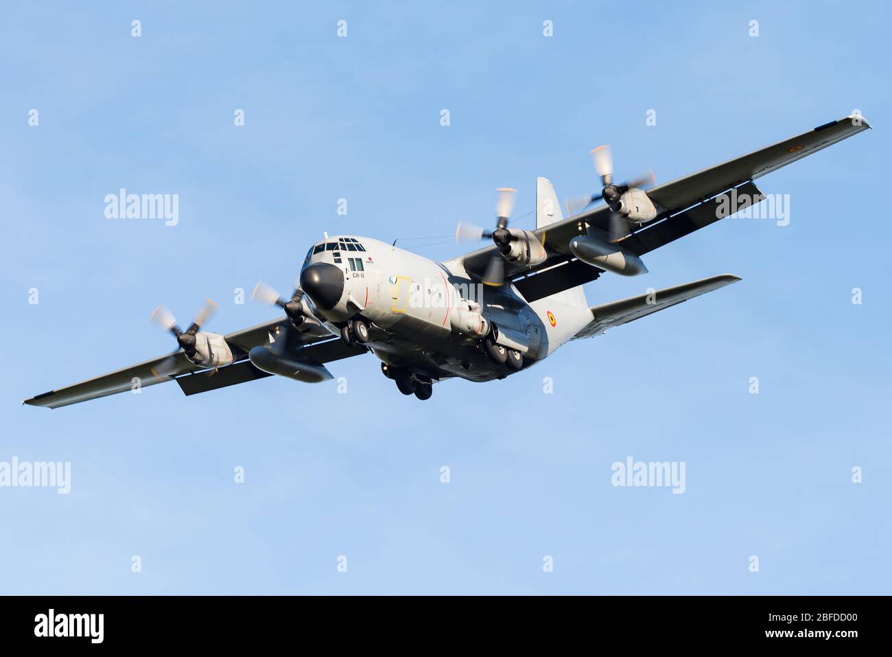 Un aereo da trasporto militare a quattro motori con turboelica Lockheed C-130 Hercules dell'aviazione belga. Foto Stock