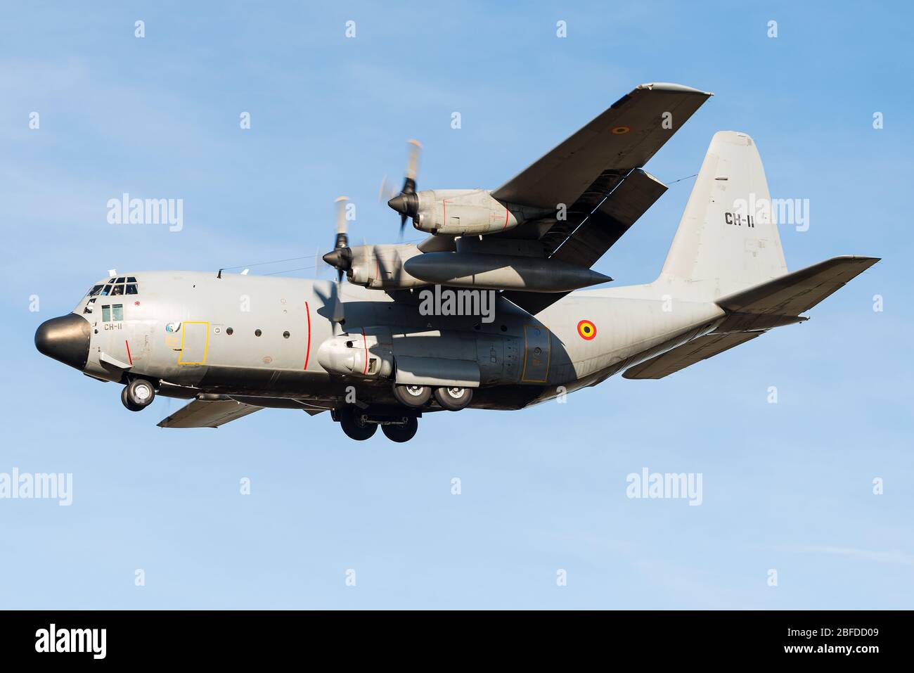 Un aereo da trasporto militare a quattro motori con turboelica Lockheed C-130 Hercules dell'aviazione belga. Foto Stock