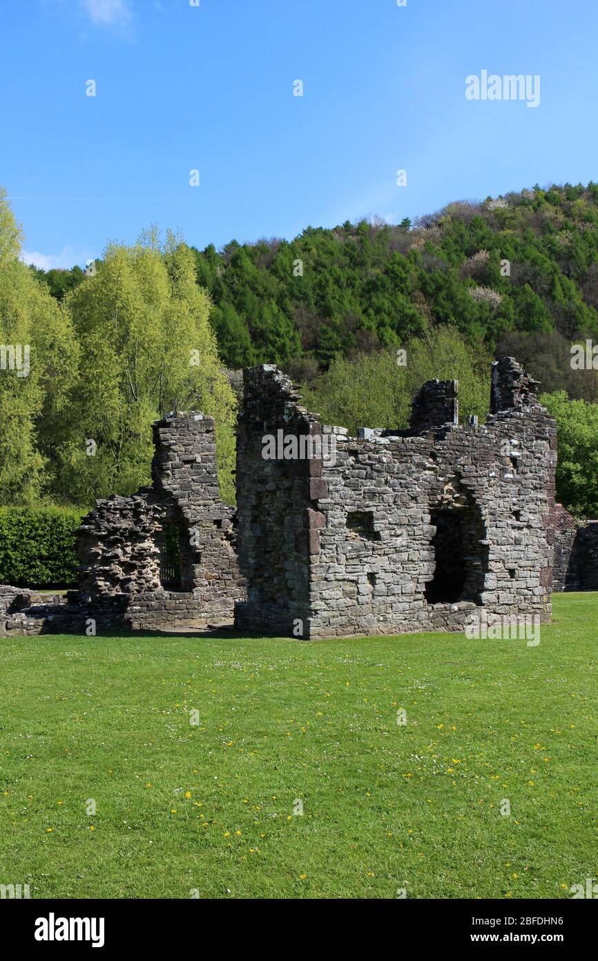 Tintern Abbey, Monmouthshire, Galles Foto Stock