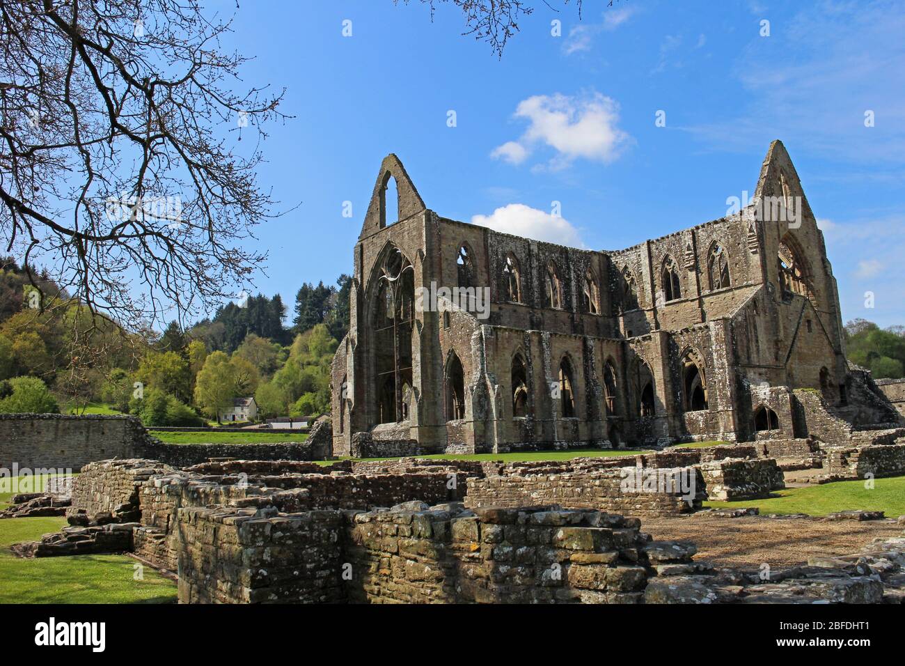 Tintern Abbey, Monmouthshire, Galles Foto Stock