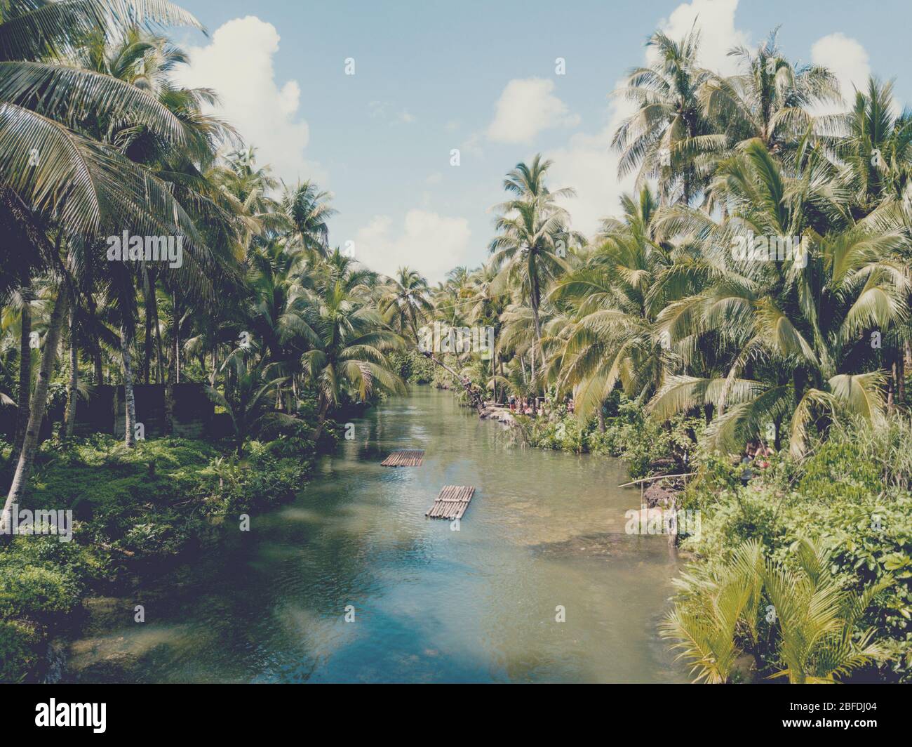 Antenna di persone su un fiume Maasin vicino alla palma segreta swing in Siargao Foto Stock