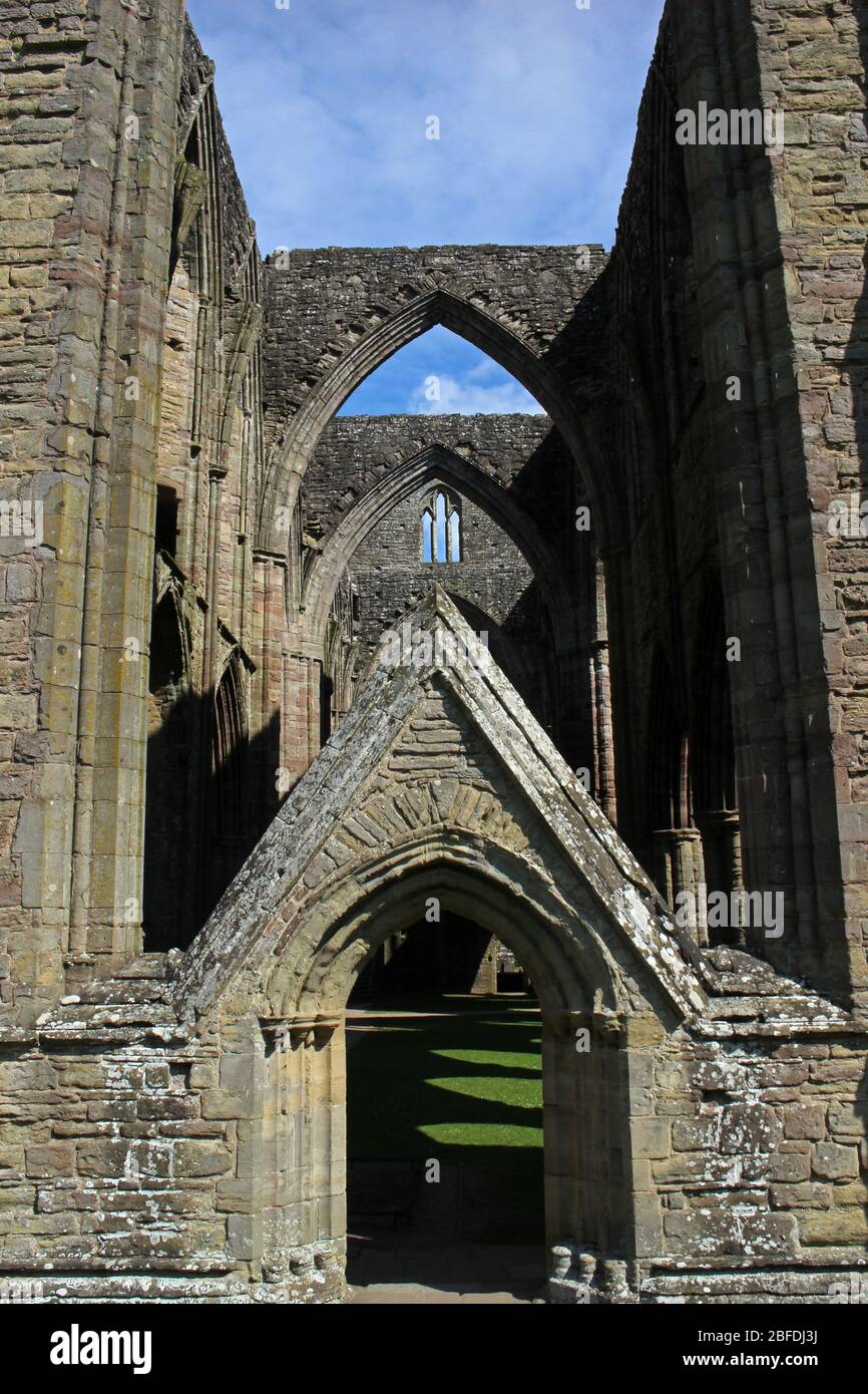 Tintern Abbey, Monmouthshire, Galles Foto Stock