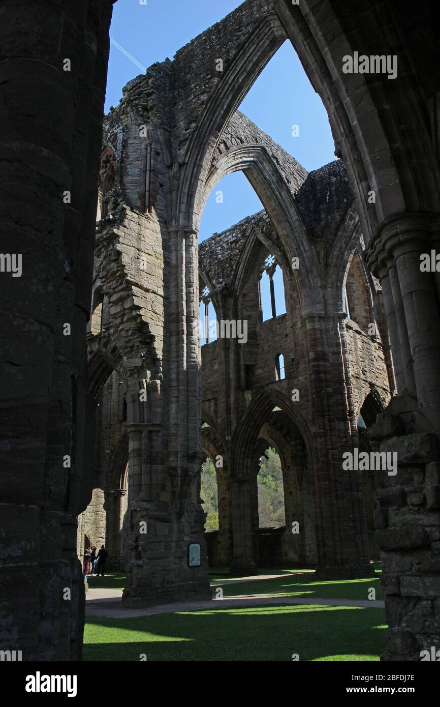 Tintern Abbey, Monmouthshire, Galles Foto Stock