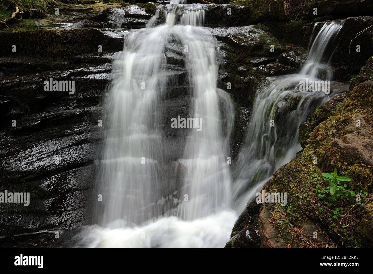 Piccola cascata alla confluenza di Nant Bwrefwr e il suo ultimo torrente tributo. Foto Stock