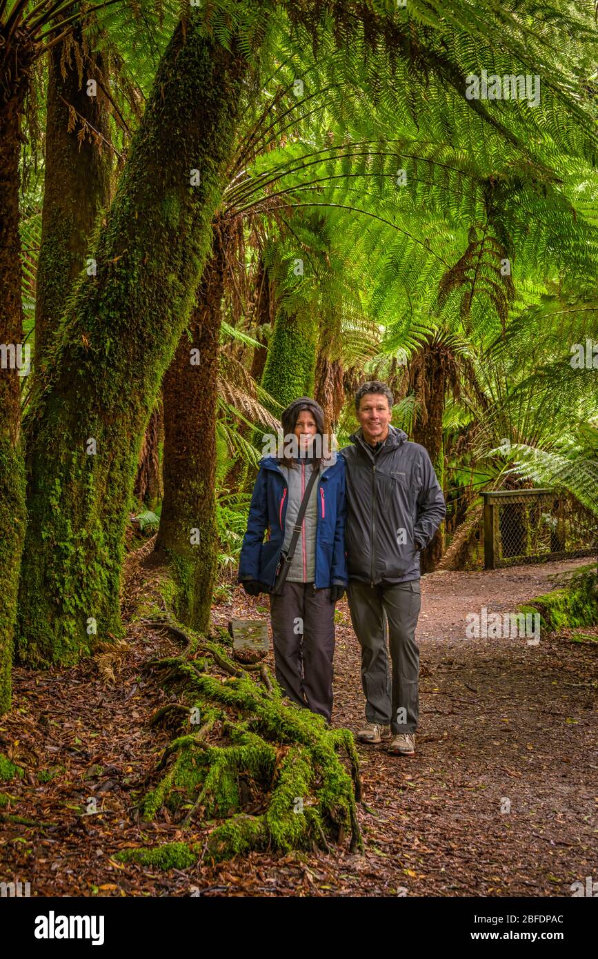 Coppia che si erge sotto la felce gigante nell'lussureggiante foresta temperata sul sentiero per le cascate di St Columba, sulla costa nord-orientale della Tasmania. Foto Stock