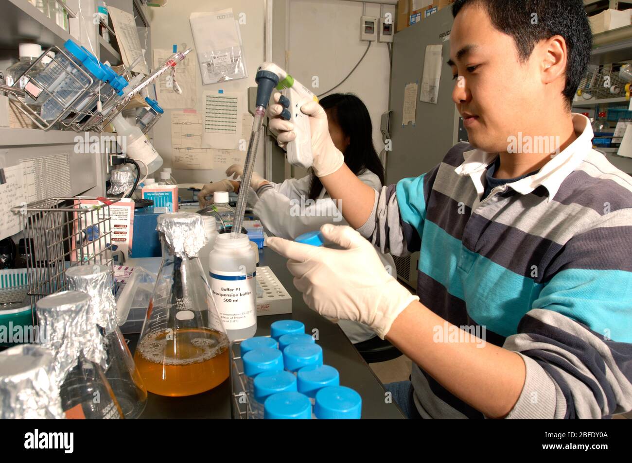 Tecnico in laboratorio presso l'Istituto di Scienze Mediche di frontiera, Università di Kyoto, Giappone, che prepara cellule staminali puripotenti indotte per anima Foto Stock