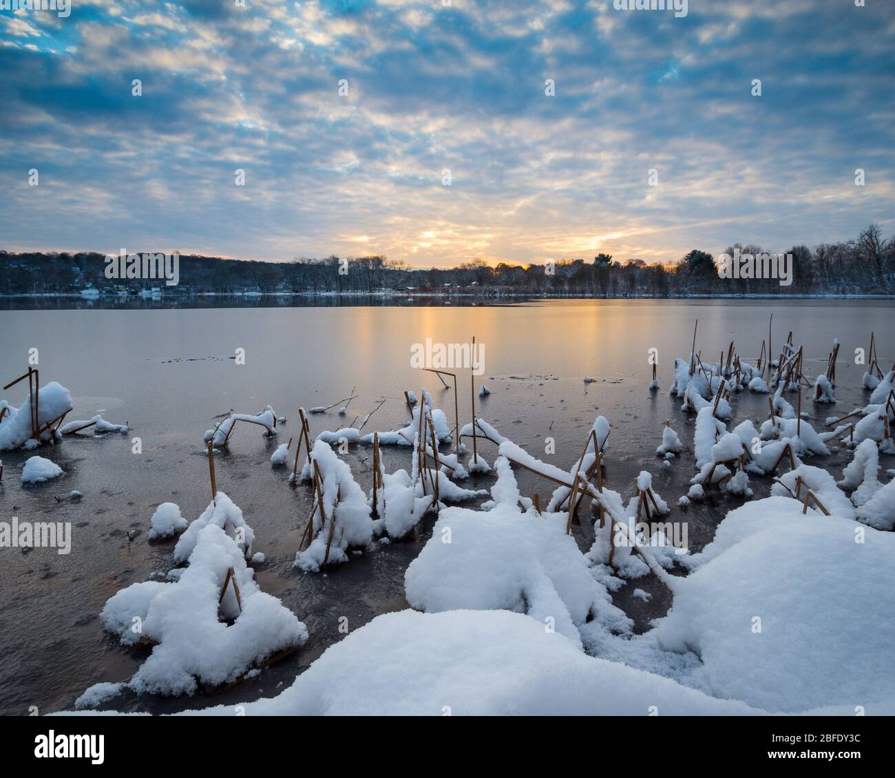 Neve si aggrappa alle erbe lungo un lago nel Connecticut centrale, come l'alba si avvicina su una fredda, mattina d'inverno (Hanover Pond, Meriden, Connecticut). Foto Stock