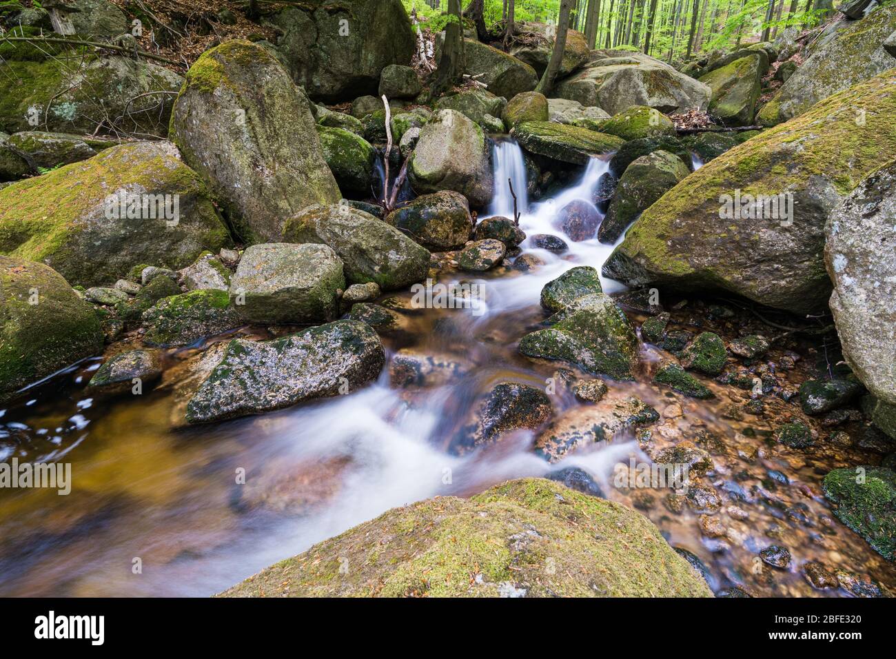 Cascata su un torrente nelle montagne della Boemia del Nord Foto Stock
