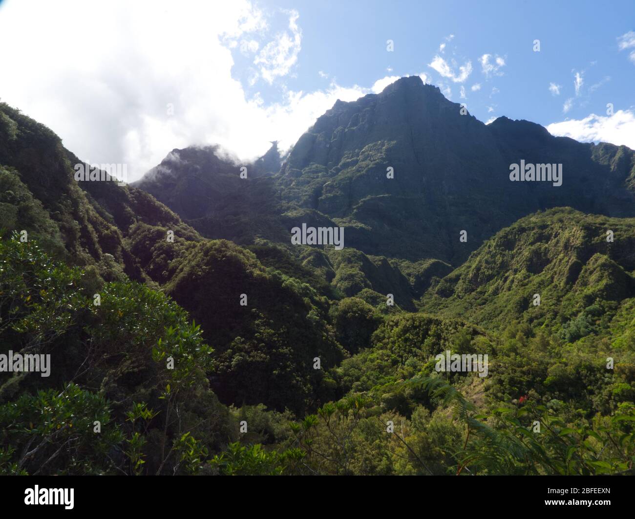 Punto panoramico a Mafate con imponenti e ripide montagne sotto un sole luminoso sull'Isola di Reunion Foto Stock