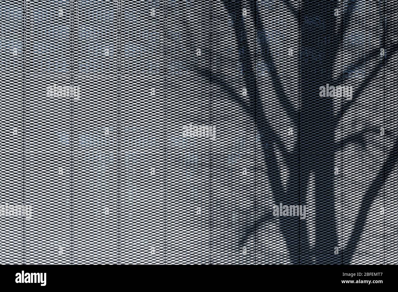 Ombra di albero su piastra metallica perforata struttura della facciata rivestita di architettura moderna Foto Stock