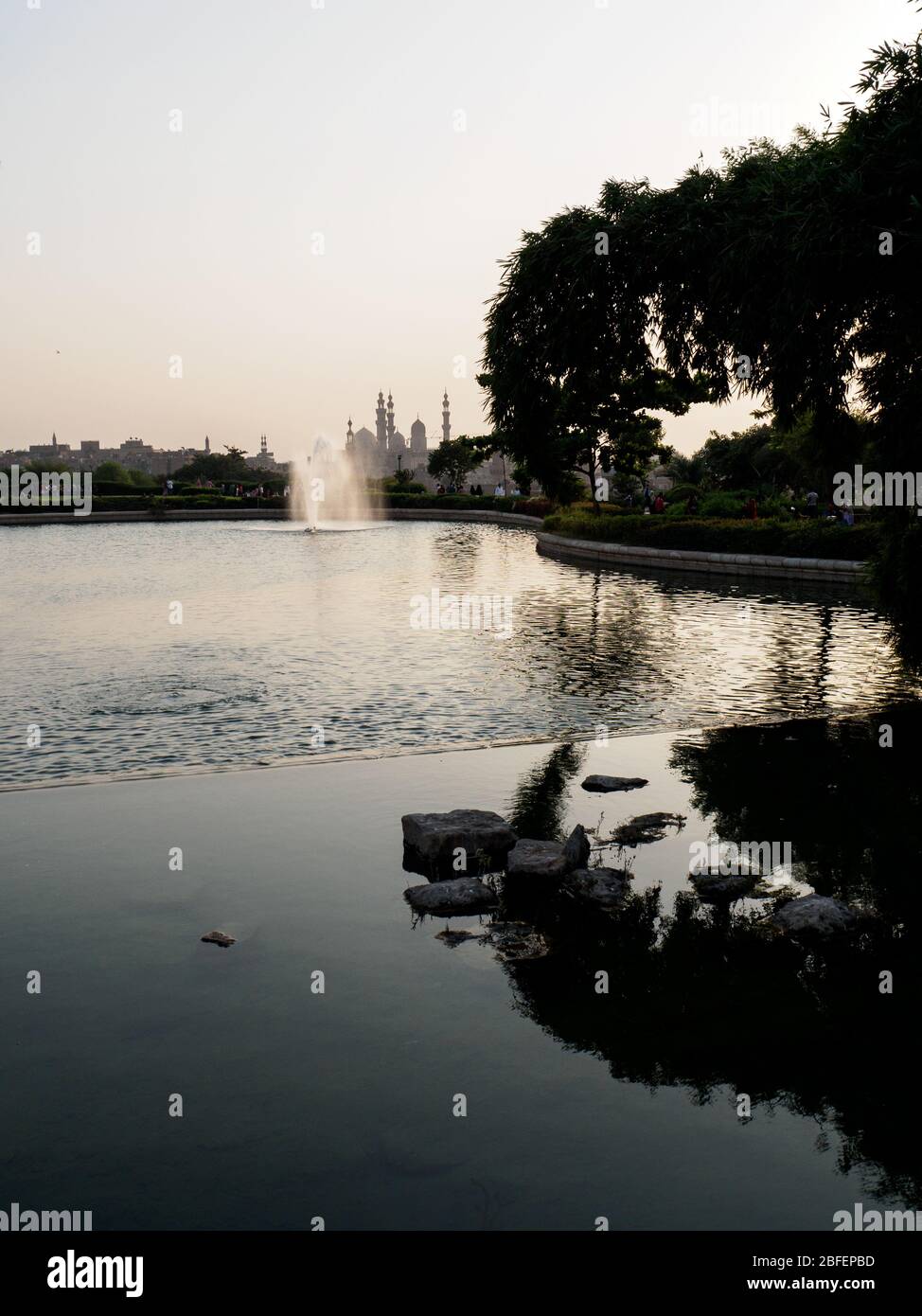 Al Azhar Park, Cairo, Egitto, 2019 ottobre, un piccolo lago e una grande fontana nel parco con un albero in primo piano Foto Stock