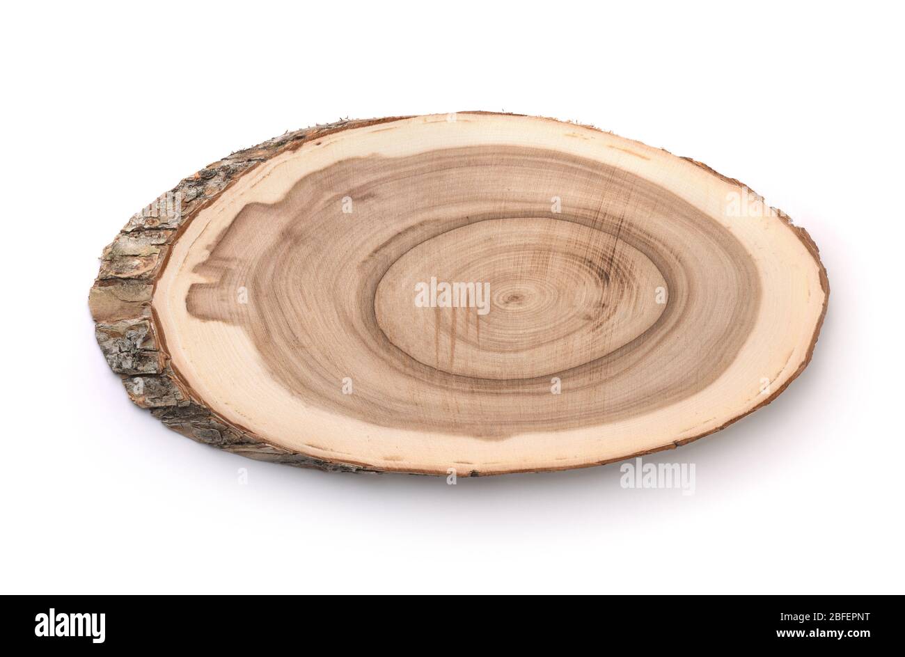 Vista frontale della sezione trasversale del tronco dell'albero isolata su bianco Foto Stock