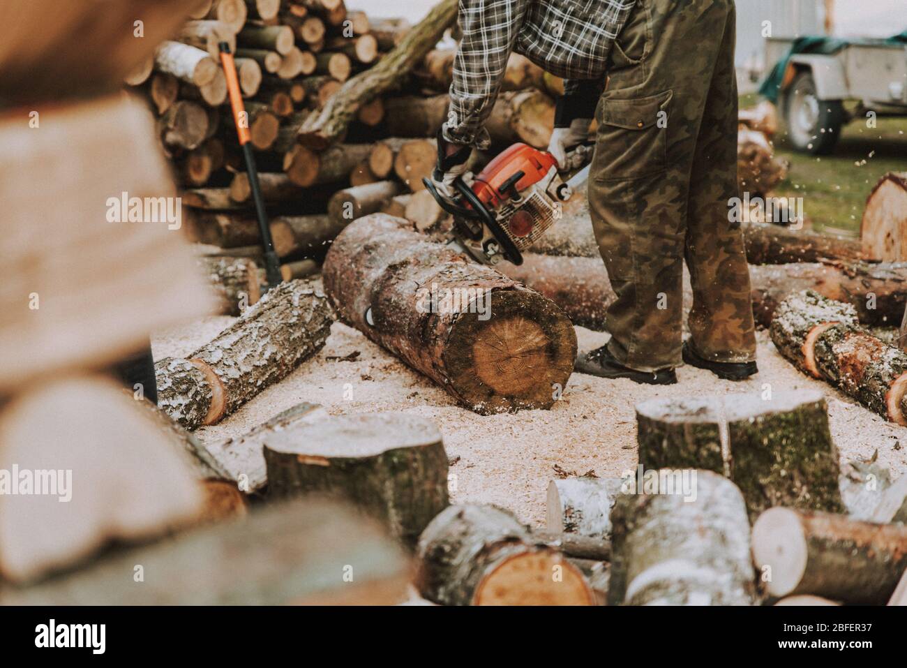 Taglialegno che lavora con la motosega. Uomo taglio tronchi di legno per  legna da ardere. Primo piano di lumberjack, motosega in movimento che taglia  legno e segatura sulla groun Foto stock 