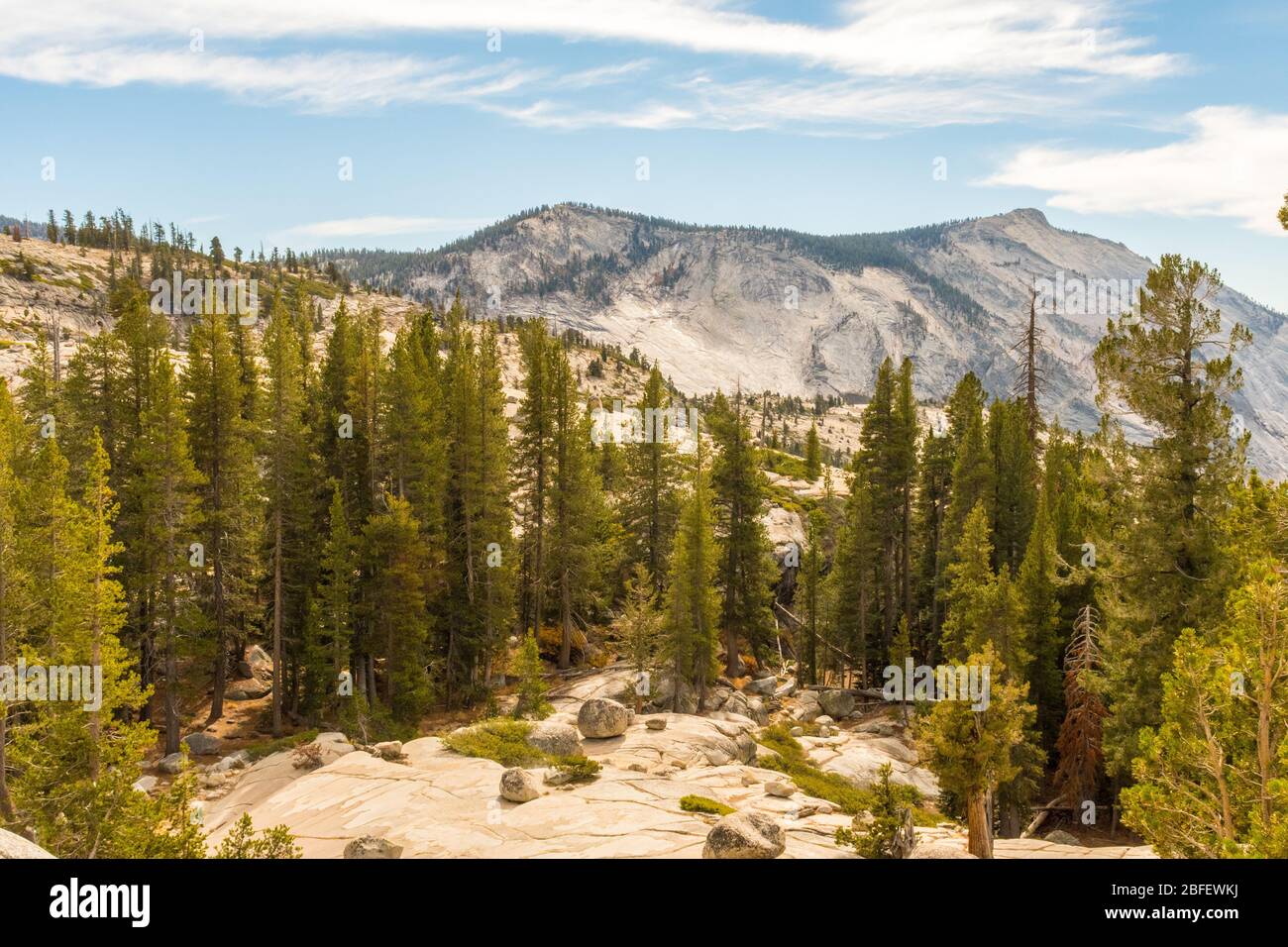 Vista da Olmsted Point dell'ambiente naturale del Parco Nazionale di Yosemite, California, Stati Uniti Foto Stock