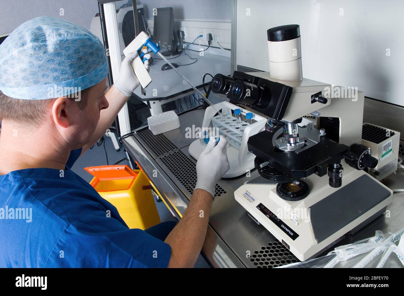 Prima della fertilizzazione di un uovo, lo sperma viene 'lavato' con una coltura per rimuovere tutti i fluidi corporei rimanenti. (Medicimage)(modello rilasciato) Foto Stock