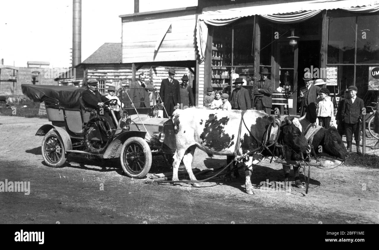 Annoiato guardando buoi, tenuto da un vecchio giogo di legno, hanno tirato un modello T non funzionante Ford automobile in una piccola città nel Wisconsin settentrionale, Stati Uniti, c. 1912. La Ford sembra essere un'auto da turismo piuttosto fantasia con i suoi sedili posteriori, e la ruota di scorta, protetta dalla polvere e dalle intemperie da una copertura in pelle. Purtroppo, o l'attrezzatura della macchina malfunzionante o le strade sterrate di quell'epoca hanno costretto il conducente ad usare una modalità di trasporto vecchio stile per ottenere la sua macchina fine al meccanico più vicino. I cittadini hanno uno spettacolo. Per vedere le mie immagini relative al trasporto, Cerca: Prestor veicolo d'epoca Foto Stock