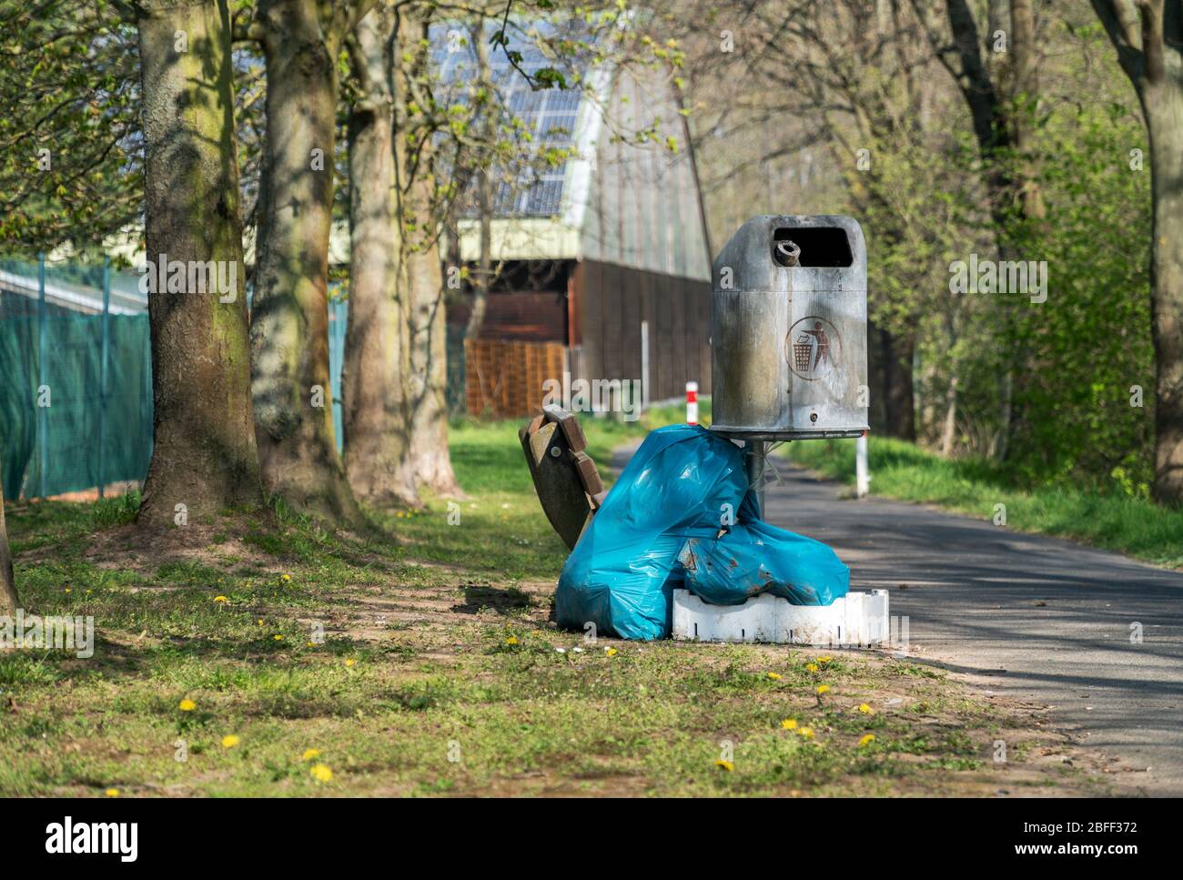 Sacchetti di plastica blu riempiti di immondizia vicino ad un cestino di metallo vuoto possono in un parco pubblico. Inquinamento ambientale, smaltimento illegale dei rifiuti in natura Foto Stock