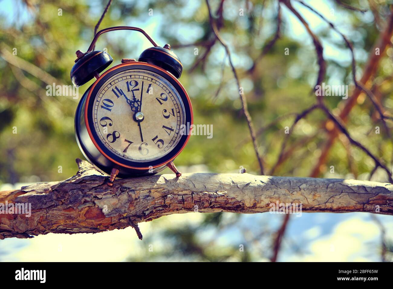 Vecchio orologio retrò sveglia nella foresta su un ramo in una luminosa, calda giornata di primavera Foto Stock