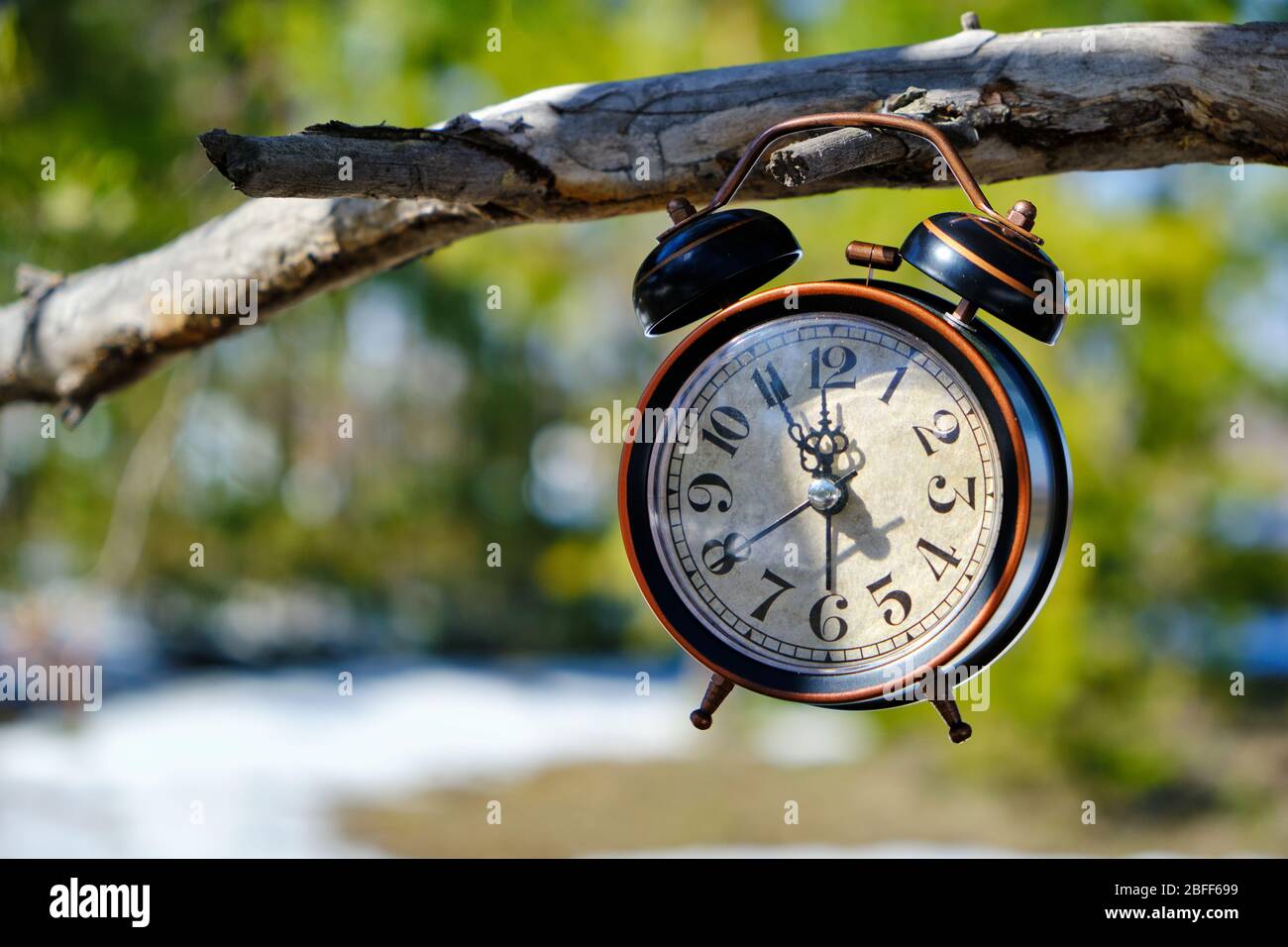 Vecchio orologio retrò sveglia nella foresta su un ramo in una luminosa, calda giornata di primavera Foto Stock