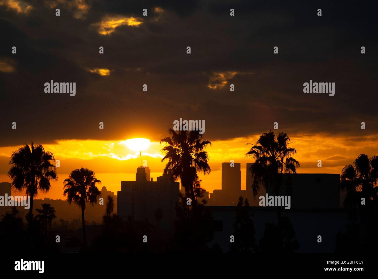 Tempestoso e spettacolare tramonto dorato con palme che si affaccia su Hollywood, Los Angeles, California Foto Stock